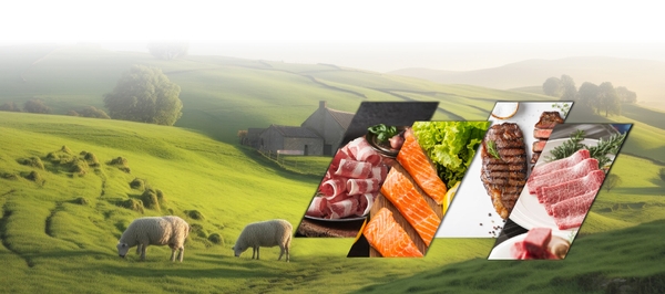 T&P FreshFoods